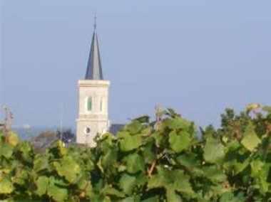 Bildbeschreibung: Katholische Kirche Bodenheim / Bildnachweis: VG Bodenheim